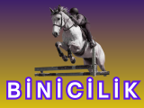 AFYON TAZLAR KÕYÚNDE YİLKİ ATLARİNİ İZLEME