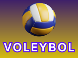 AYDIN AKADEMİ VOLEYBOL